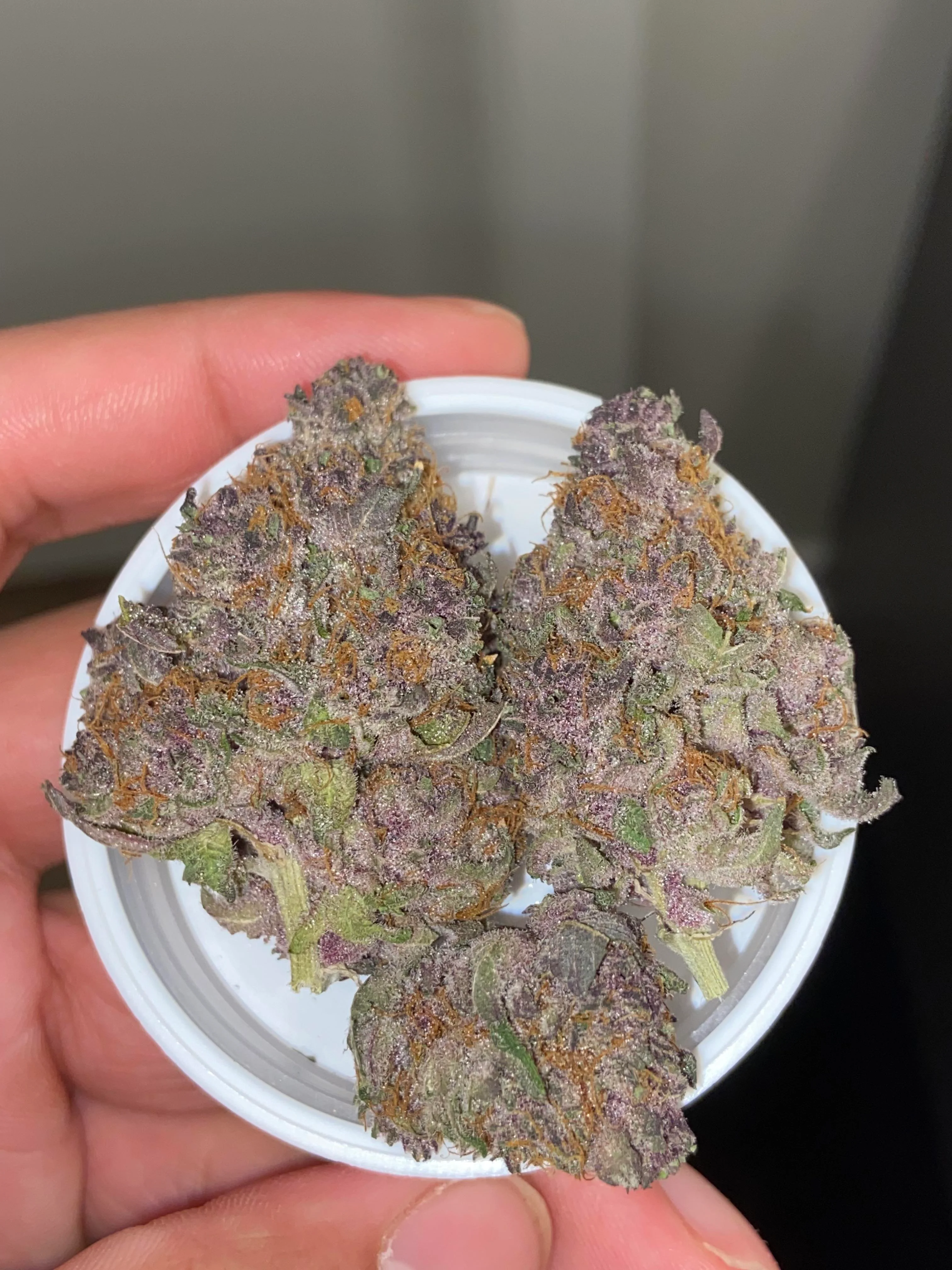 Crypto Strain for sale in the uk and Buy Crypto Strain online